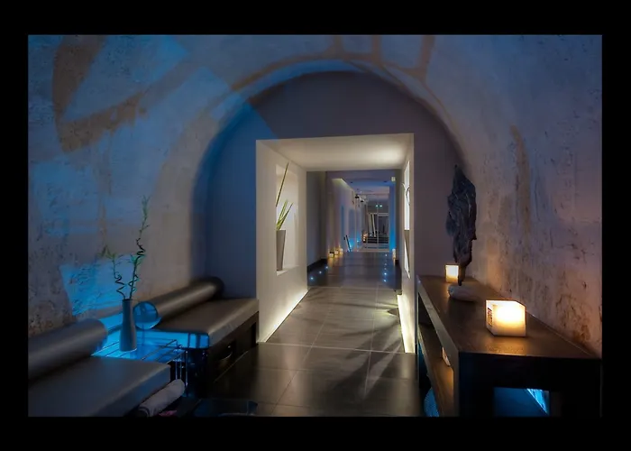 レジデンス＆スパ ル プランス レジャン